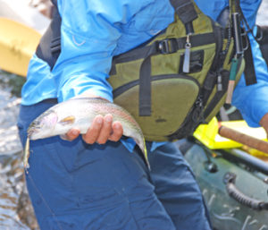 fishing regulations, july, this weekend,
