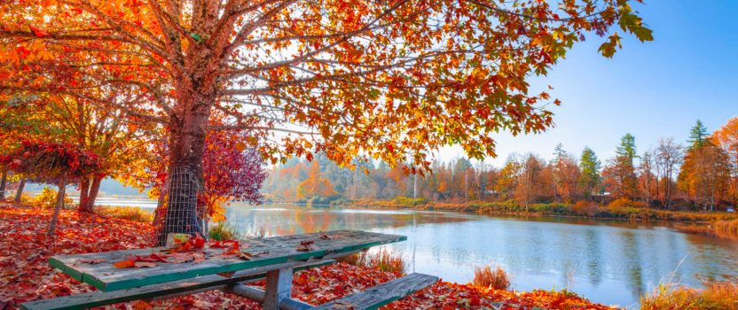 Things to Do in Fall on Lake Keowee