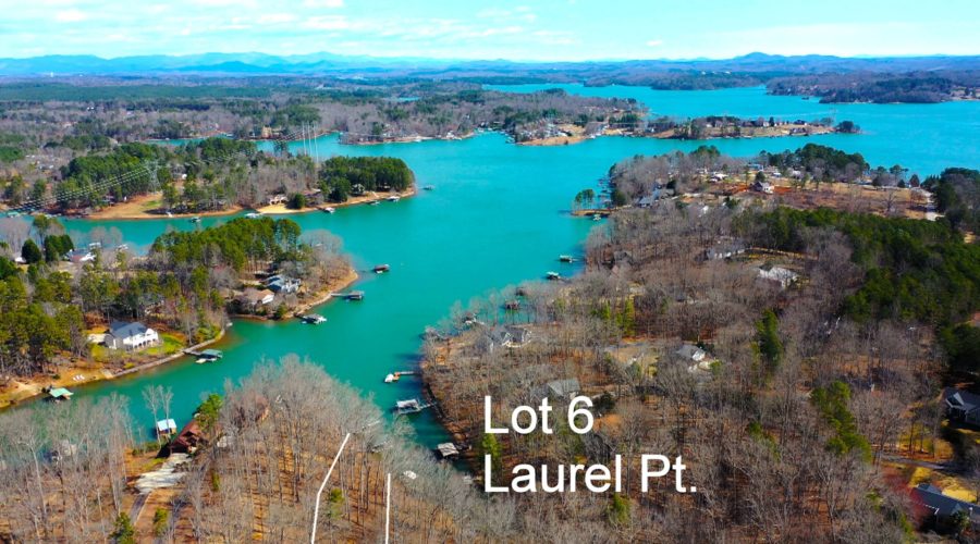 Keowee Expert Blog Pandemic Blues