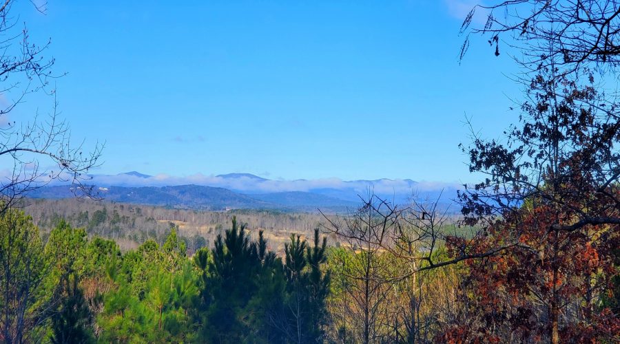 Keowee Real Estate Expert Short Days