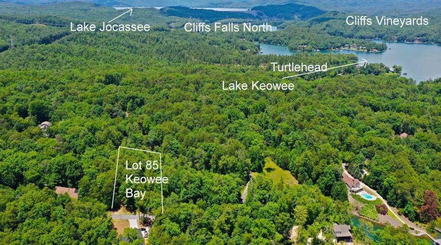 Lake Keowee Real Estate Expert Blog Mid-July is Coming!