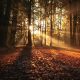 Why Fall is the Best Time for Homes for Sale on Lake Keowee