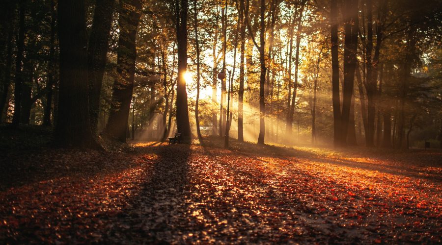 Why Fall is the Best Time for Homes for Sale on Lake Keowee