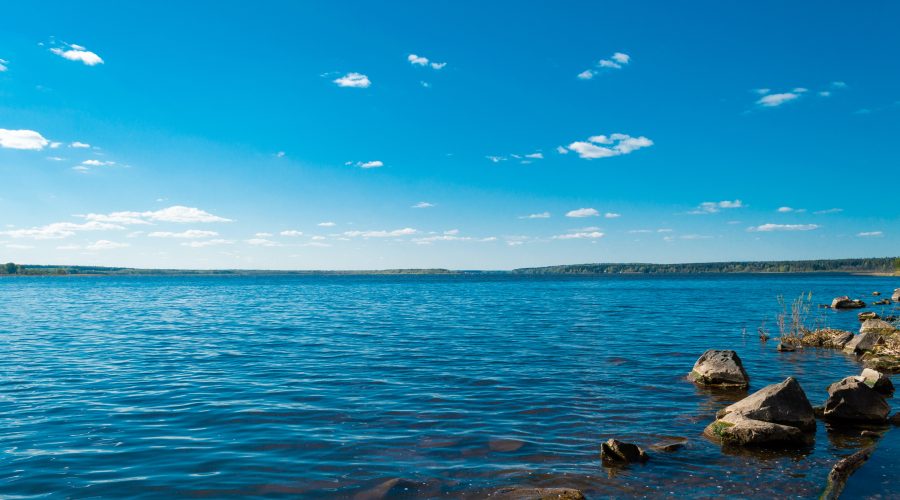The Best Spots for South Carolina Lakefront Homes