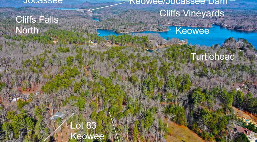 Lake Keowee Real Estate Expert Blog Pollen!