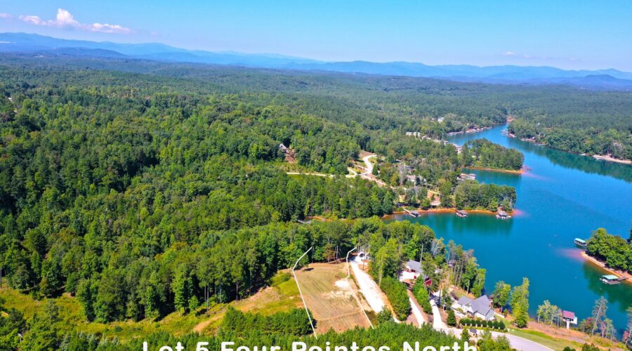 Lake Keowee Real Estate Expert Blog Week of Fun