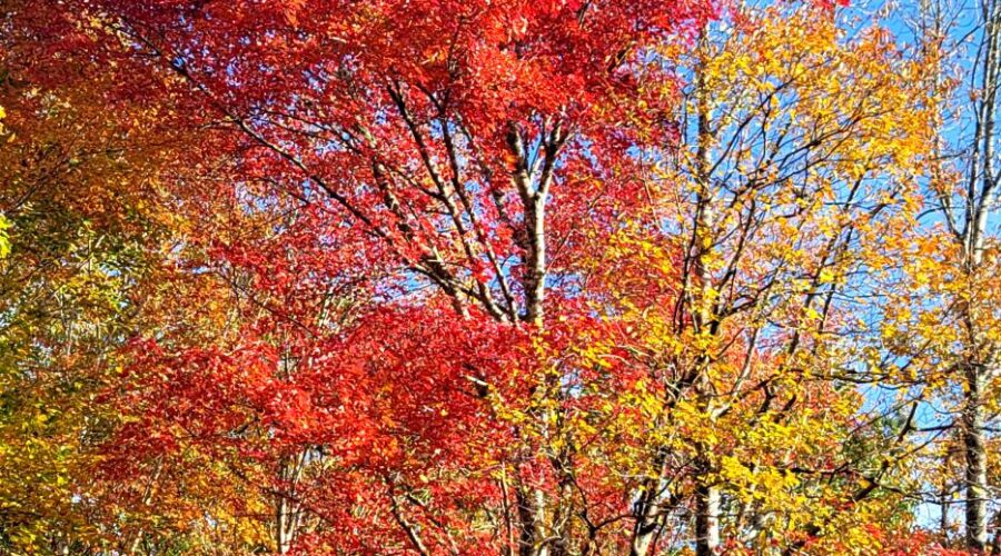 Lake Keowee Waterfront Real Estate Expert Blog Still Amazing