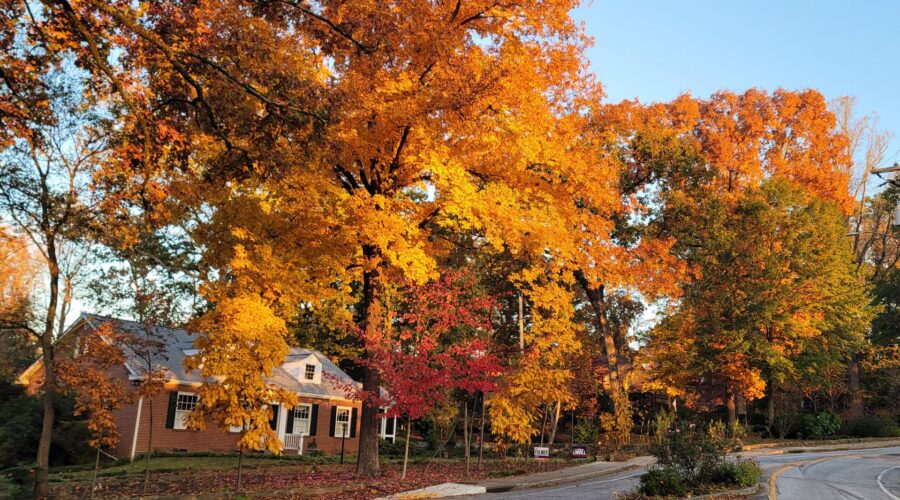 Lake Keowee Real Estate Expert Blog Indian Summer