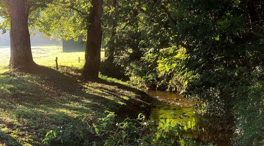 Lake Keowee Real Estate Expert Blog Beautiful Days!