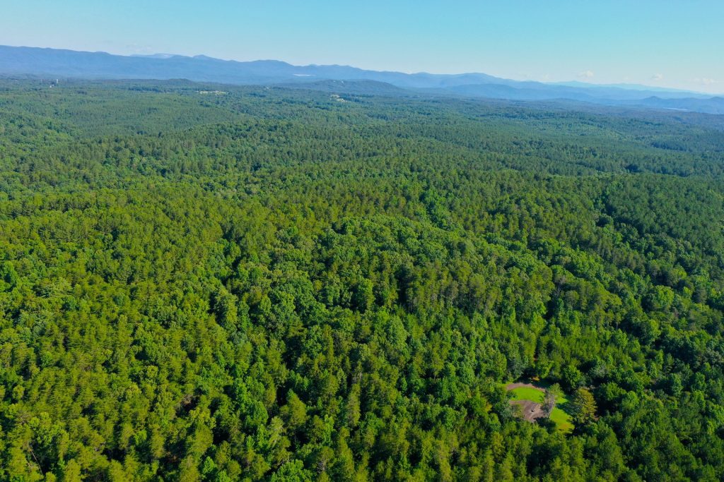 Lake Keowee,area news,help,real estate,for sale,Mike,Matt,Roach,Top,Guns,Realty,Homes,lots,land,acreage,