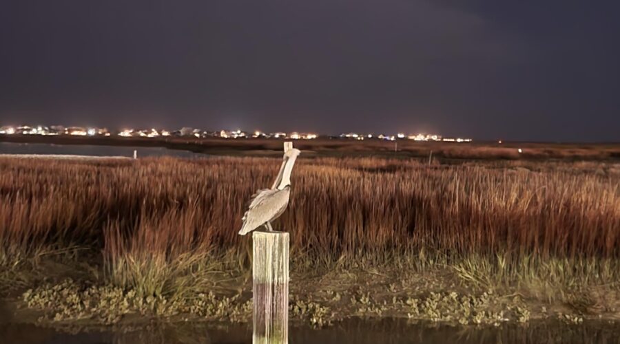 Lake Keowee Real Estate Expert Blog News