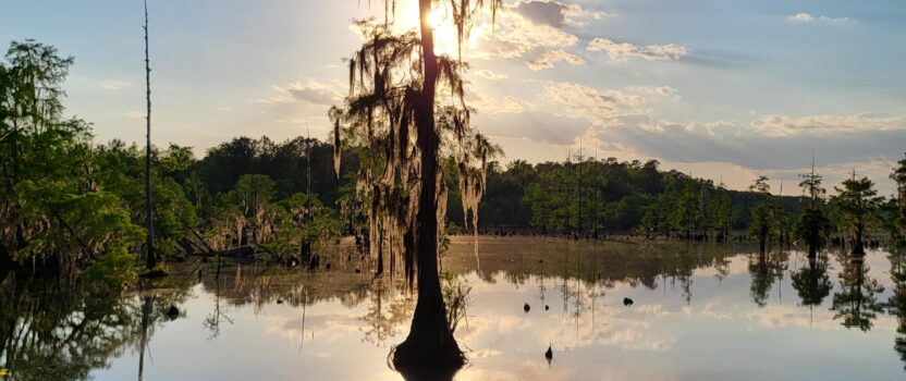 Lake Keowee Real Estate Expert Blog Finally