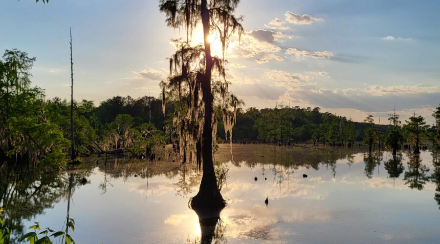 Lake Keowee Real Estate Expert Blog Finally
