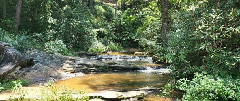 Lake Keowee Real Estate Expert Blog Excitement